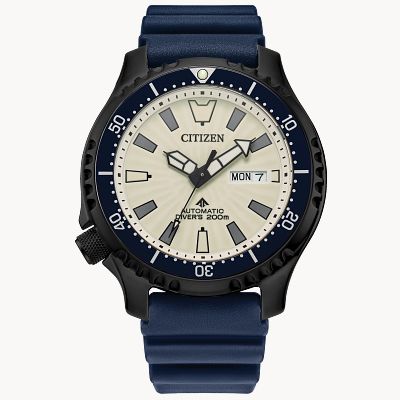 New 2025 citizen promaster